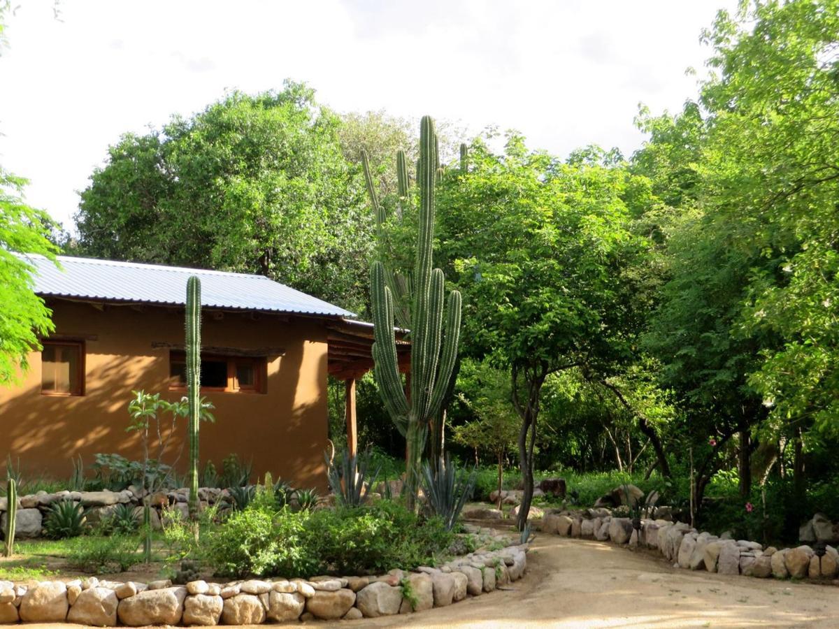 El Pedregal - Hotel En La Naturaleza Álamos Eksteriør bilde