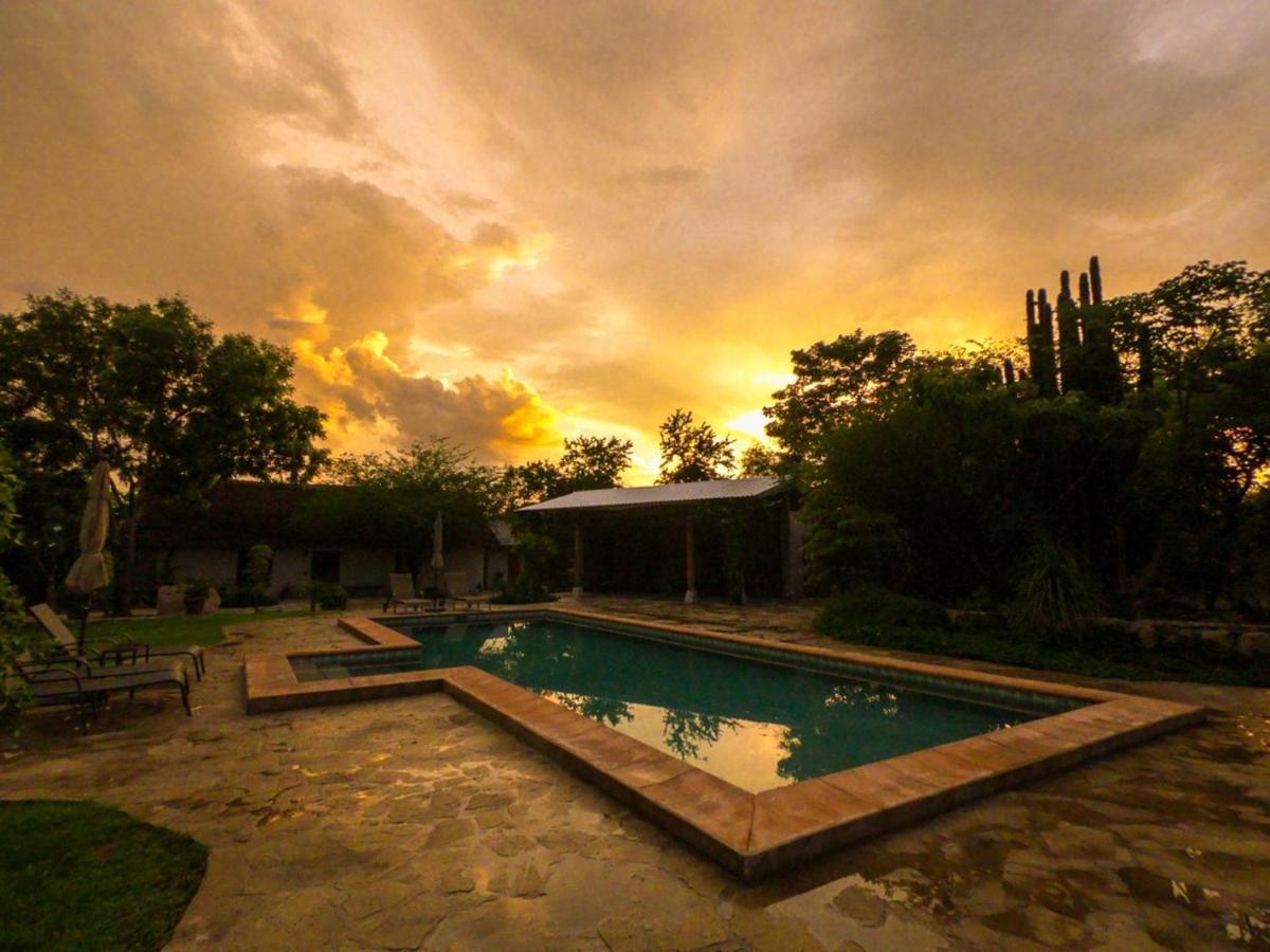El Pedregal - Hotel En La Naturaleza Álamos Eksteriør bilde